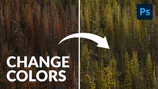 How to Change the Color of Foliage in Photoshop