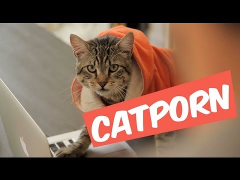download lagu mp3 mp4 Catporn, download lagu Catporn gratis, unduh video klip Catporn