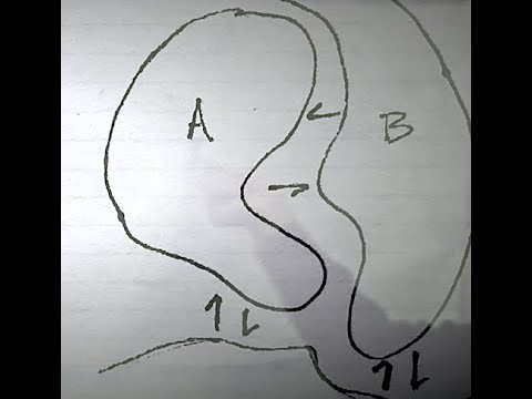 Humberto Maturana; The Biology of Love, Language and Languaging