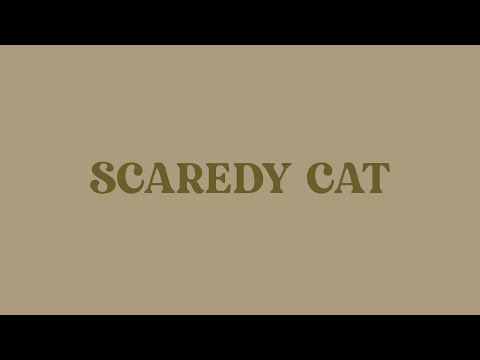 Scaredy Cat - DPR IAN (Lyrics Video)