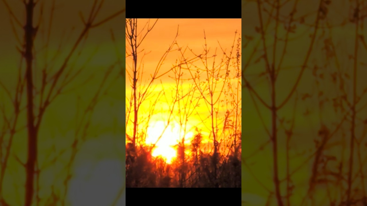 Blazing, Bright Sun 🌞 in Sky #canada ##shorts #nature #love #love #sunset #viral #new #Sun 🌞😍🇨🇦