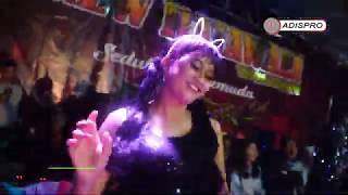 Download lagu LADIES ROYAL-  DJ CHACA mp3