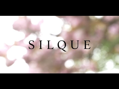 Video thumbnail for Gloria