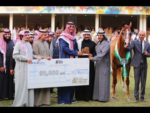 مهرجان الأمير سلطان بن عبدالعزيز العالمي للجواد العربي 2018  منارة سدير
