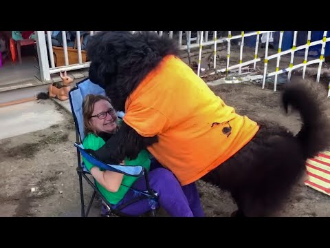 TRY NOT TO LAUGH WATCHING FUNNY FAILS VIDEOS 2023 #287