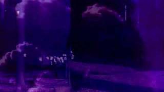 aborym  with no human intervention