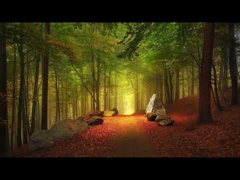 Sade - I Never Thought I'd See The Day (Emotional Tourist & Interlude Revisit)