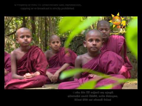 Hiru TV