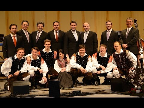 Ansambel Saša Avsenika & Slovenski oktet & Godalna zasedba Filharmonije Sl (live)