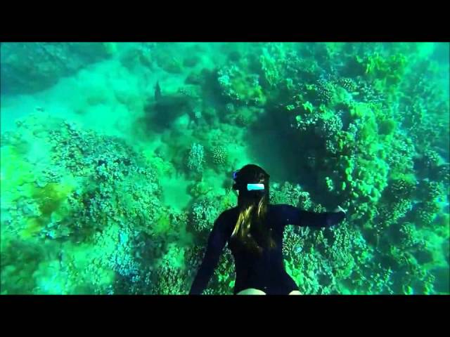 Girls Snorkeling In Bikinis