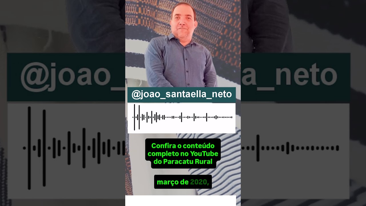 Café Vai Subir? Dólar Salta e Estoques em NY Pressionam o Físico