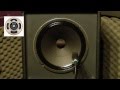 Celestion Vintage 30 Video #1
