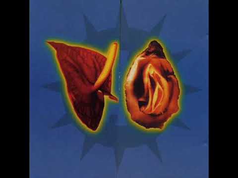 Cosmic Baby - Morphologic Fields