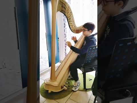 Francesco Montesano, arpa. Sezione Interpreti 4, Cat. B