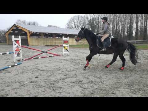 Centurion 12/02/2017 saut