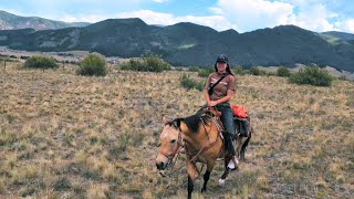 I Traded My Van for a Horse - Could I Be a Cowgirl?! | Solo Female Van Life in Colorado Ep. 438
