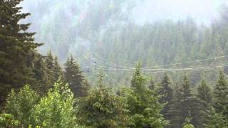 preview picture of video 'Icy Straight Zipline - Hoonah Alaska - 8th July 2014'