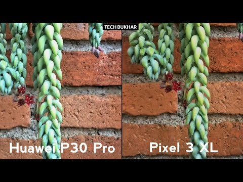 Huawei P30 Pro vs Google Pixel 3 XL Camera Comparison || #HuaweiP30Pro #P30Pro #Pixel3XL #TECHBUKHAR