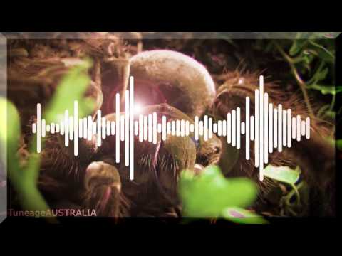 Mystikal - Turantula (ft. Butch Cassidy)