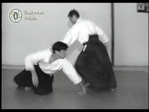Aikido Ricardo Leite Bushinkan Aikido - 90's
