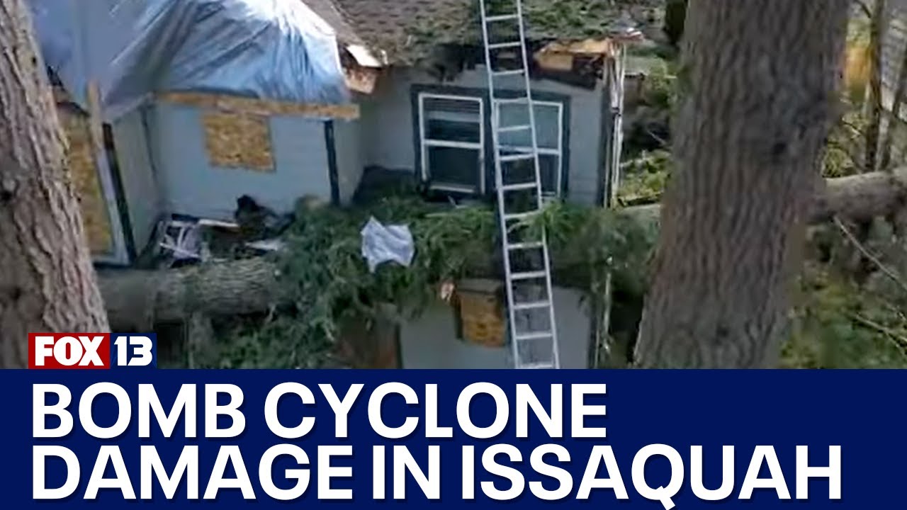 An aerial look at Issaquah's bomb cyclone storm damage