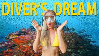 Scuba Diving Thailand’s No.1 Dive Site (Richelieu Rock Guide)