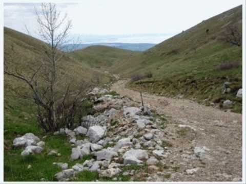 Kaštiga Darko Đekić