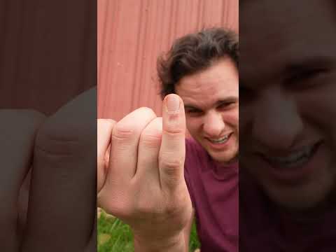 Trapping the Animal Under My Barn!
