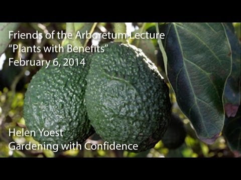 "Plants with Benefits" - Friends of the Arboretum Lecture