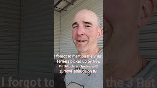 Sacramento, CA to Thompson Falls, MT rescue trip w/ 22 dogs!