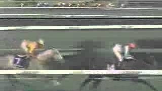 [我推] 賽馬娘第2季 東海帝王