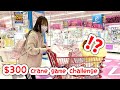 JAPAN $300 CRANE GAME CHALLENGE