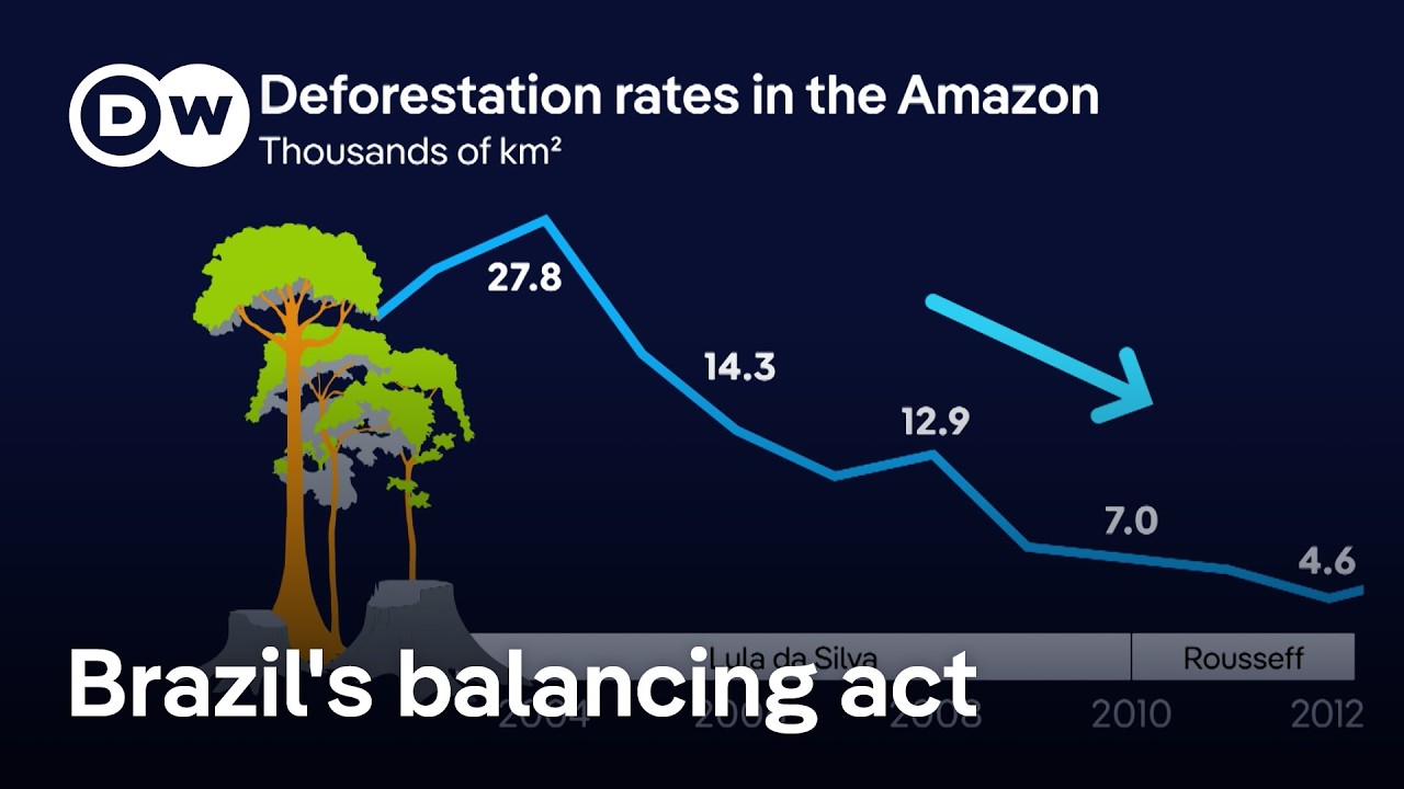 What kind of climate player is Brazil really?  |  DW News