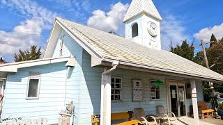 南阿蘇鉄道トロッコ列車2023秋