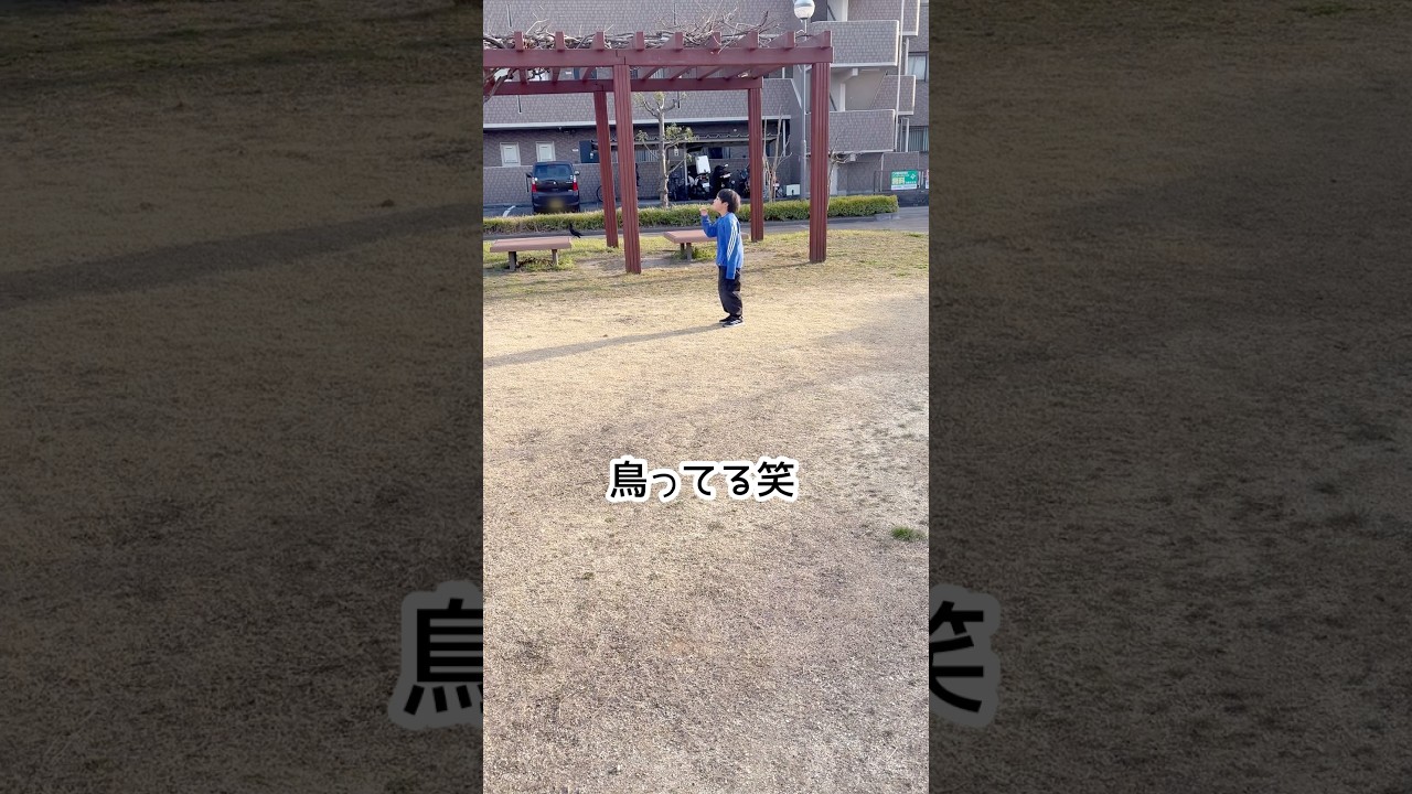 さすがに無理かぁ笑#6歳 #shorts #shortsfeed