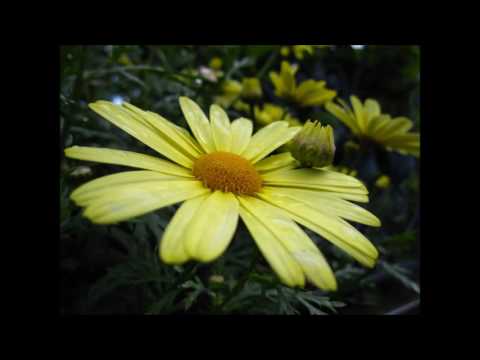 [HD] DJ Chap & Andrezz (feat. MC Fava & L-Side) - It's A New World