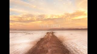 Perotá Chingó - Álbum 2013