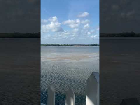 Jandaíra-Bahia #paisagens #viagem #natureza #encanto