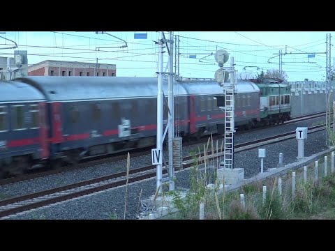 TreniMisterJazz.Un veloce E656.Caimano locomotore italiano.