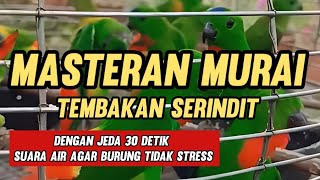 Download lagu Masteran Murai Tembakan Serindit Dengan Jeda 30 detik Suara air mp3
