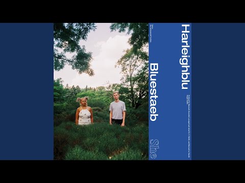 Present (feat. Harleighblu, S. Fidelity) [Instrumental]