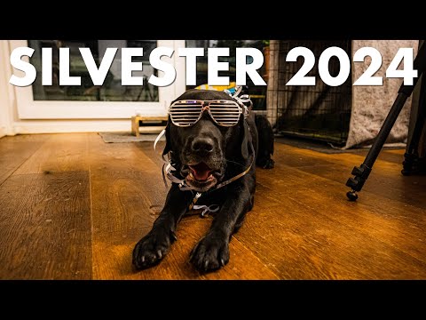 Cedric der Labrador - 267 | Silvester 2024