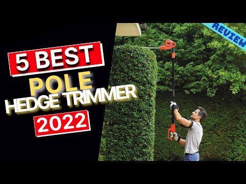 Best Pole Hedge Trimmer of 2022 | The 5 Best Pole Hedge Trimmers Review