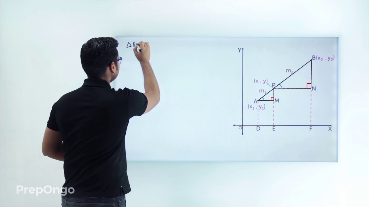 Coordinate Geometry | Section Formula Derivation