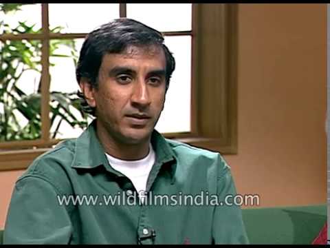 Milan Luthria, Indian film director on Hindi film Kachche Dhaage