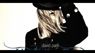 David Park / Private Paradise