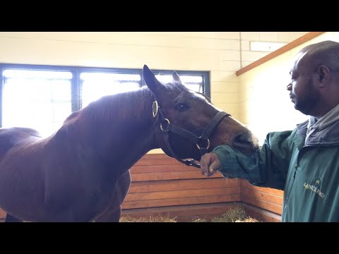 A.P. Indy and Asa Haley