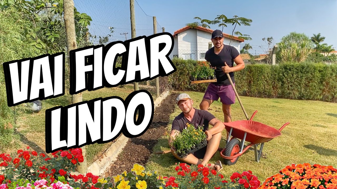 PLANTAMOS FLORES no JARDIM - UM MURINHO FLORIDO | Henrique Buttler