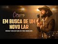 Em Busca De Um Novo Lar COVER TEMA DO FILME OS TRÊS CONSELHOS Um Hino Lindo Mas Pouco Conhecido
