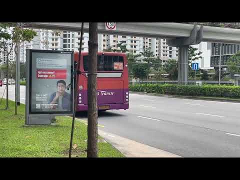 [SBST] SBS8701J On Service 374 - Scania K230UB Euro V Gemilang Batch 1